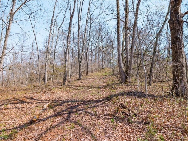 East Branch Road, Lowell, OH 45744 Photo 14