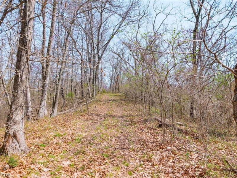 East Branch Road, Lowell, OH 45744 Photo 15