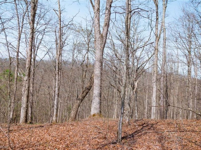 East Branch Road, Lowell, OH 45744 Photo 16