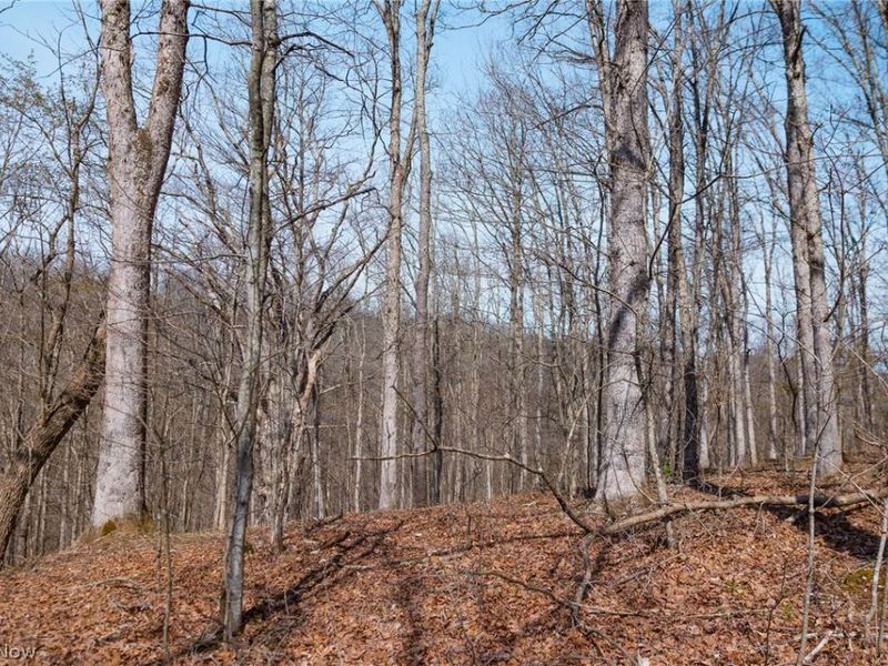 East Branch Road, Lowell, OH 45744 Photo 17