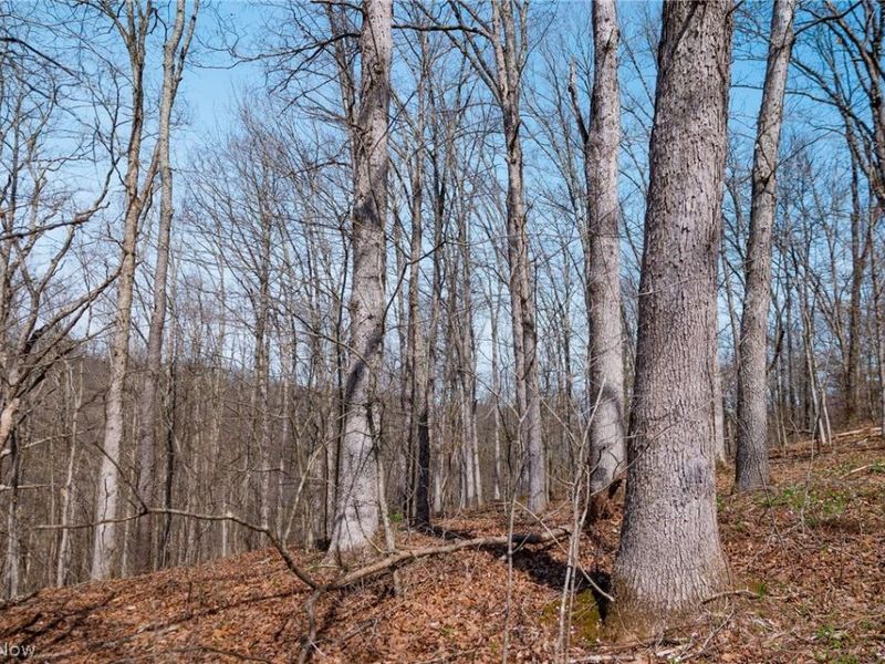 East Branch Road, Lowell, OH 45744 Photo 18