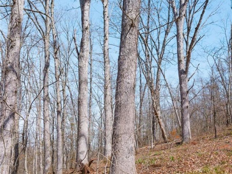 East Branch Road, Lowell, OH 45744 Photo 19