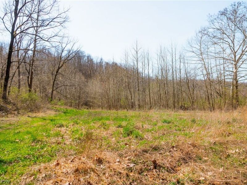 East Branch Road, Lowell, OH 45744 Photo 2