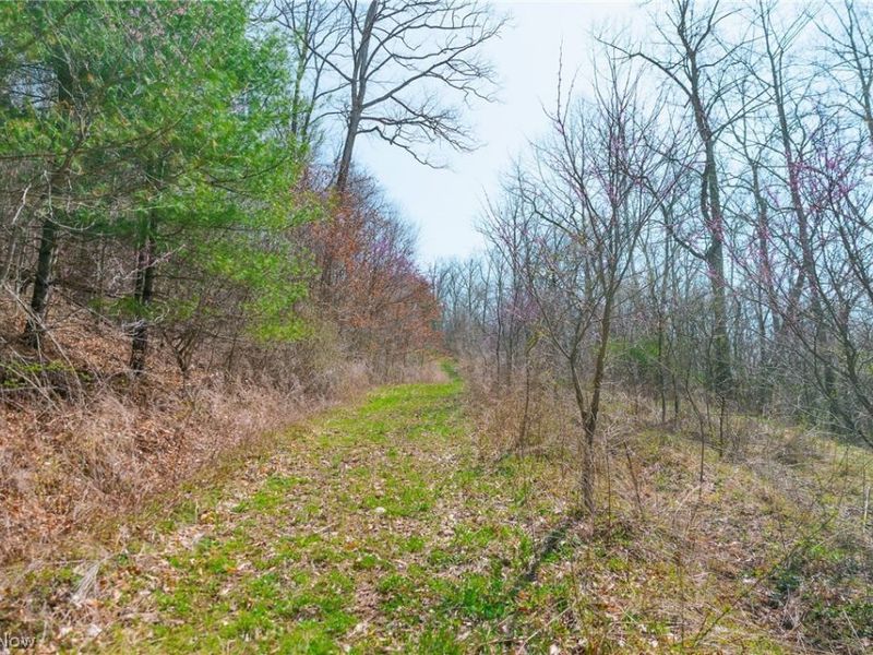 East Branch Road, Lowell, OH 45744 Photo 20