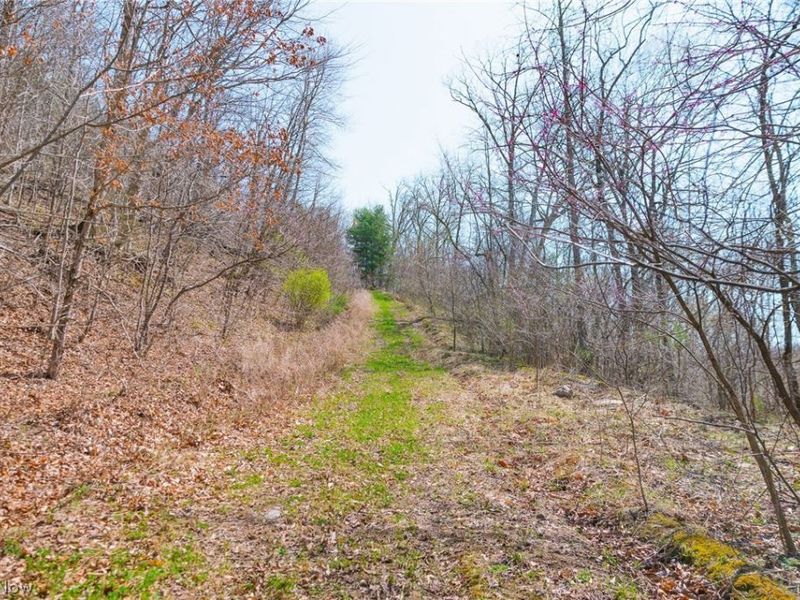 East Branch Road, Lowell, OH 45744 Photo 21