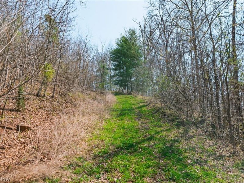 East Branch Road, Lowell, OH 45744 Photo 22