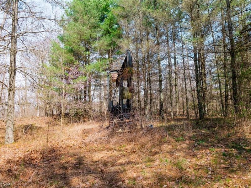 East Branch Road, Lowell, OH 45744 Photo 23