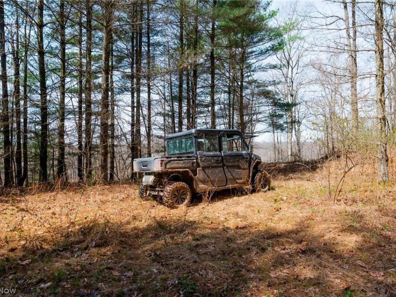 East Branch Road, Lowell, OH 45744 Photo 24