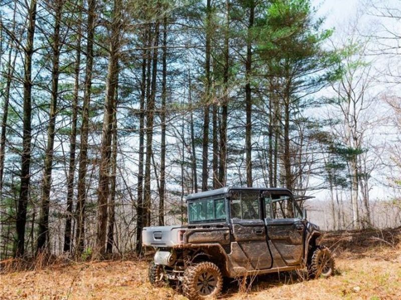 East Branch Road, Lowell, OH 45744 Photo 25