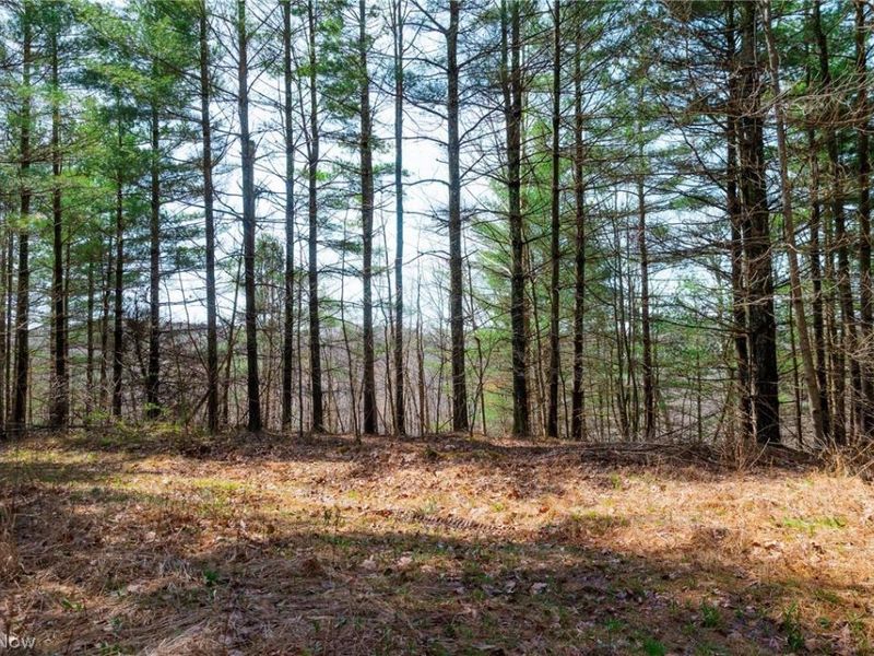 East Branch Road, Lowell, OH 45744 Photo 26