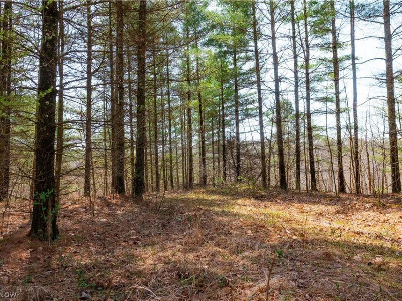 East Branch Road, Lowell, OH 45744 Photo 27