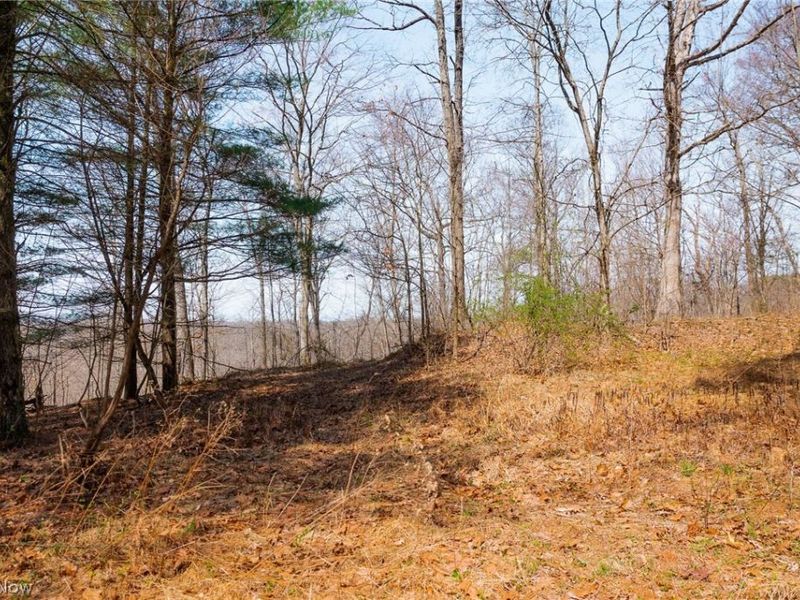 East Branch Road, Lowell, OH 45744 Photo 28