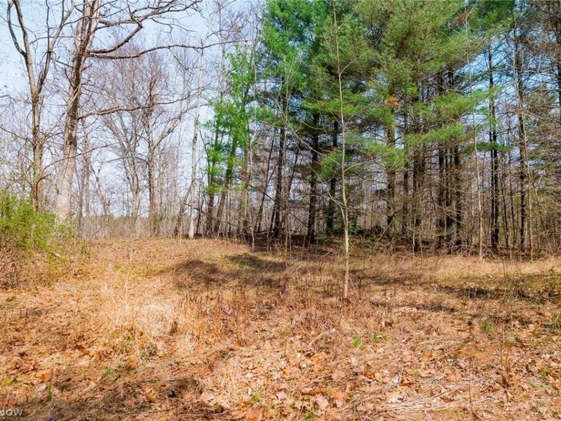 East Branch Road, Lowell, OH 45744 Photo 30