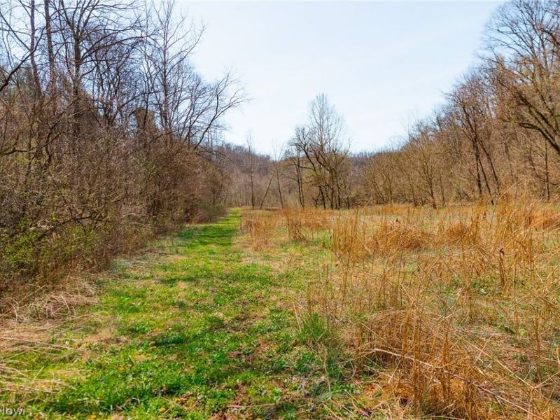 East Branch Road, Lowell, OH 45744 Photo 6