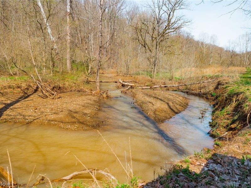 East Branch Road, Lowell, OH 45744 Photo 7