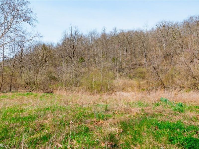 East Branch Road, Lowell, OH 45744 Photo 8