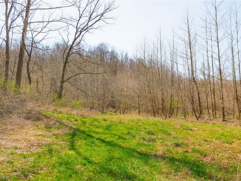 East Branch Road, Lowell, OH 45744 Photo 9