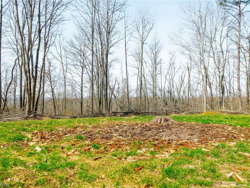 East Branch Road, Lowell, OH 45744 Photo 10