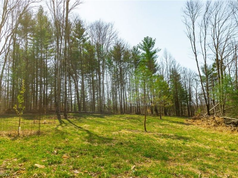 East Branch Road, Lowell, OH 45744 Photo 11