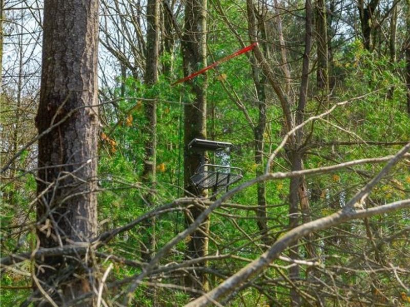 East Branch Road, Lowell, OH 45744 Photo 12