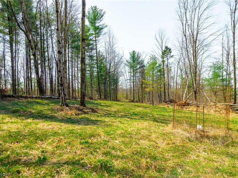 East Branch Road, Lowell, OH 45744 Photo 13