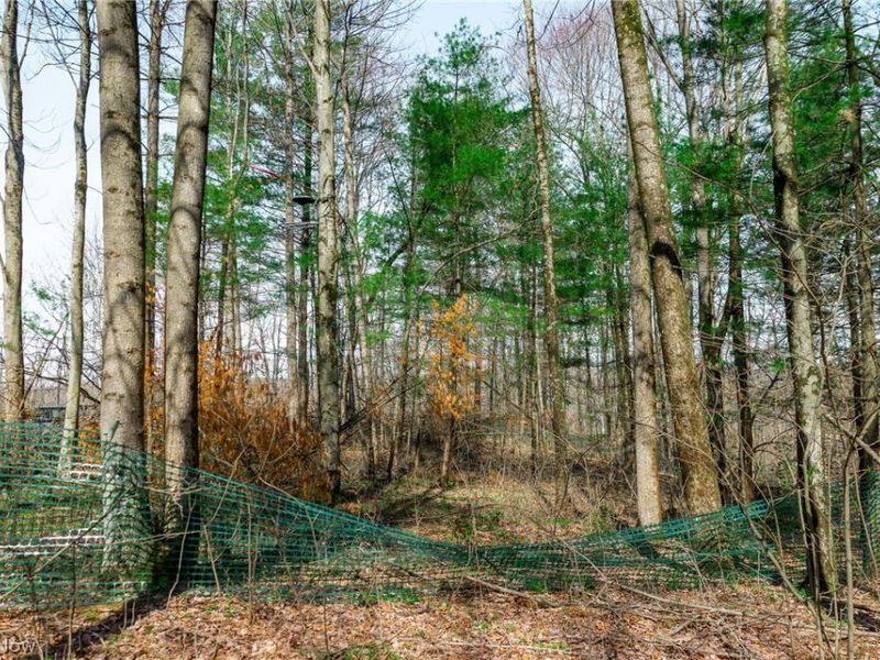 East Branch Road, Lowell, OH 45744 Photo 14