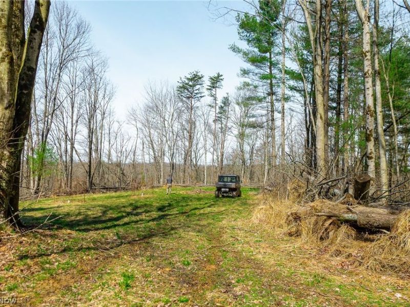 East Branch Road, Lowell, OH 45744 Photo 15