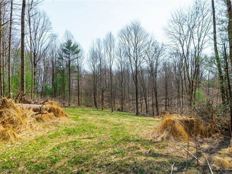 East Branch Road, Lowell, OH 45744 Photo 16