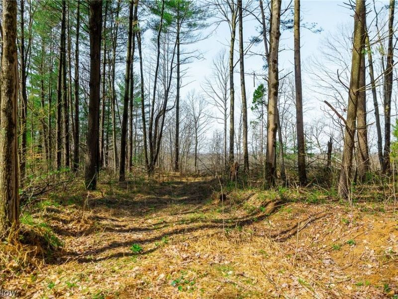 East Branch Road, Lowell, OH 45744 Photo 17