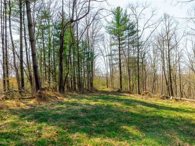 East Branch Road, Lowell, OH 45744 Photo 18