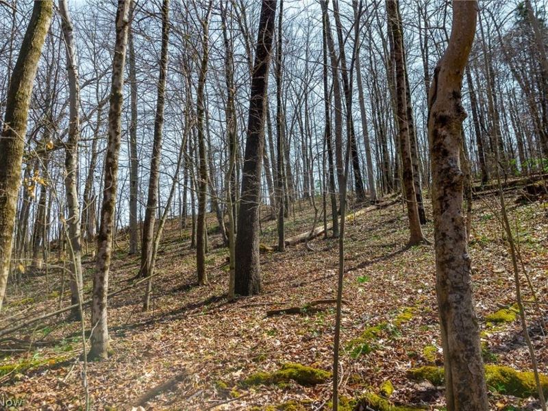 East Branch Road, Lowell, OH 45744 Photo 19