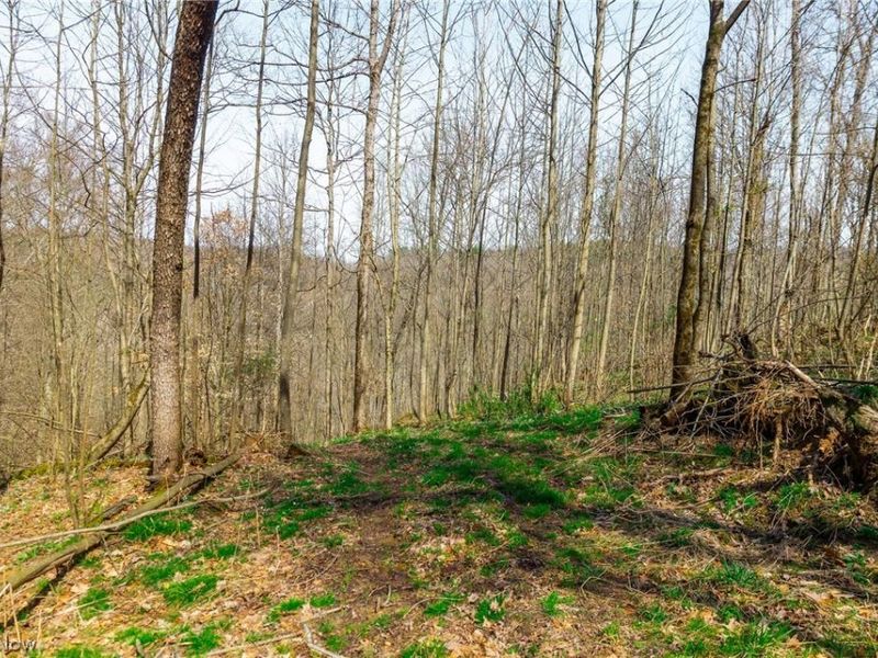 East Branch Road, Lowell, OH 45744 Photo 20