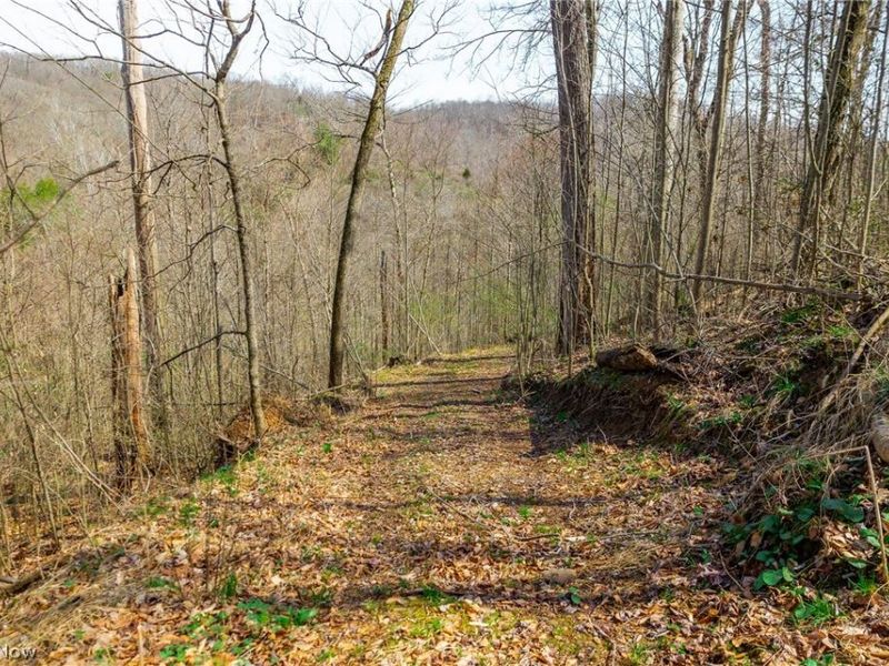 East Branch Road, Lowell, OH 45744 Photo 21