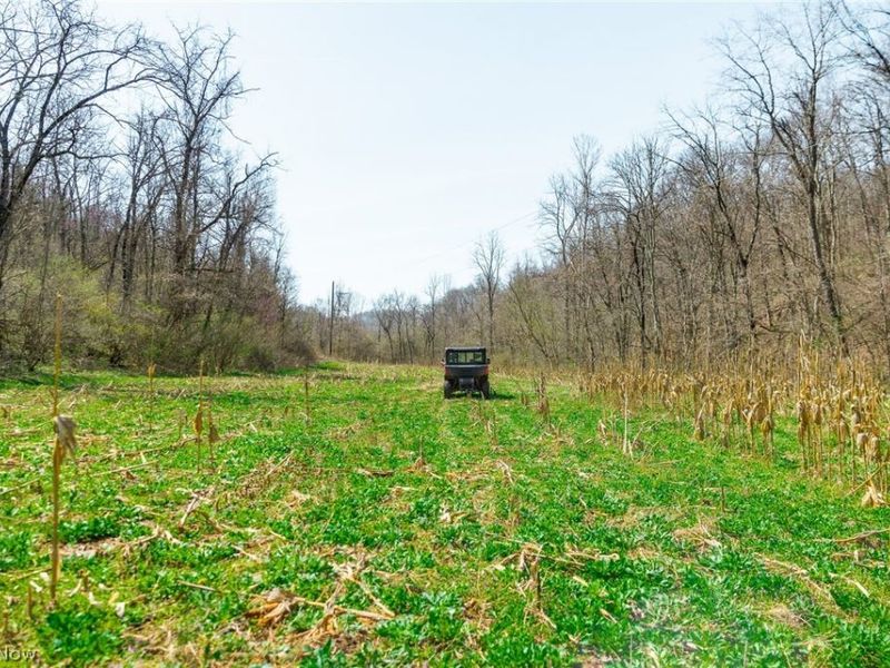 East Branch Road, Lowell, OH 45744 Photo 22