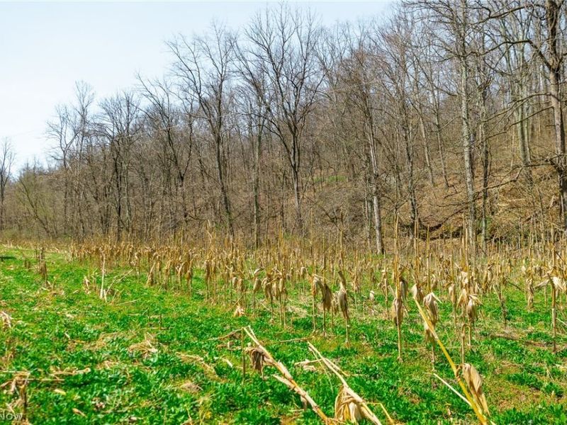 East Branch Road, Lowell, OH 45744 Photo 23