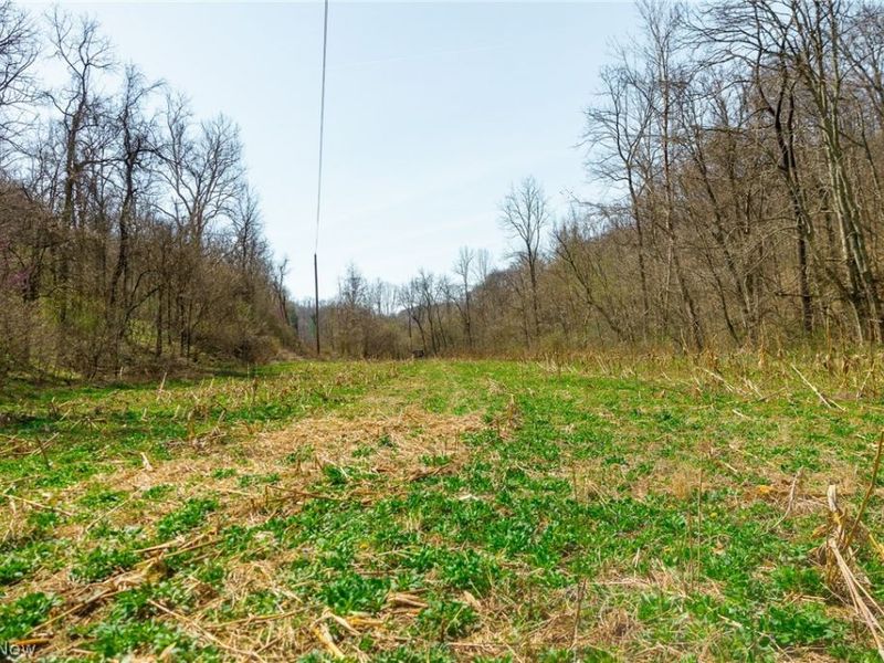 East Branch Road, Lowell, OH 45744 Photo 24