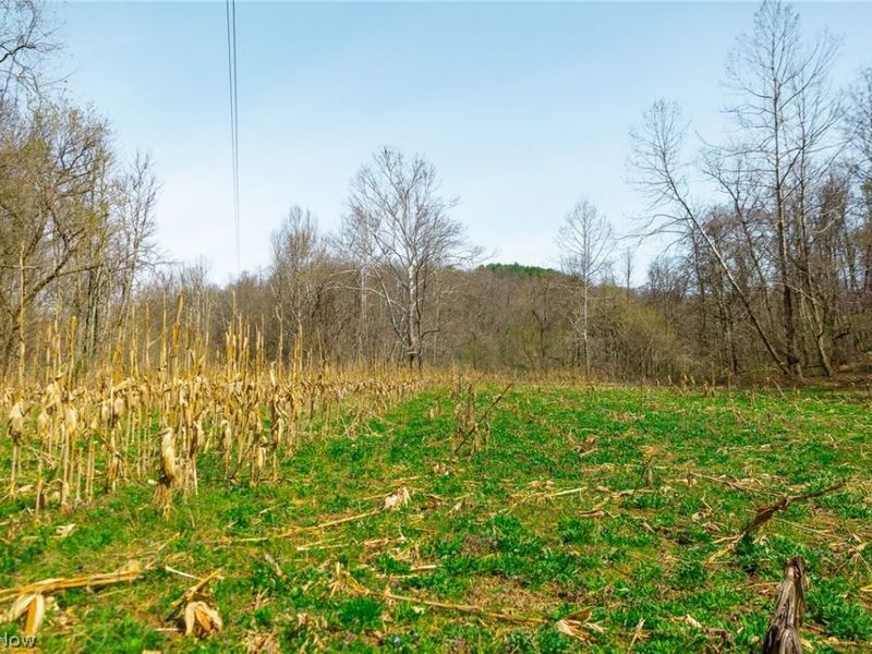 East Branch Road, Lowell, OH 45744 Photo 25