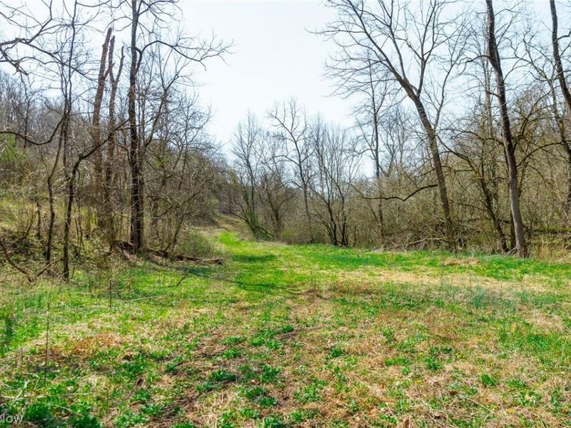 East Branch Road, Lowell, OH 45744 Photo 28