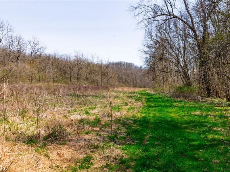 East Branch Road, Lowell, OH 45744 Photo 29