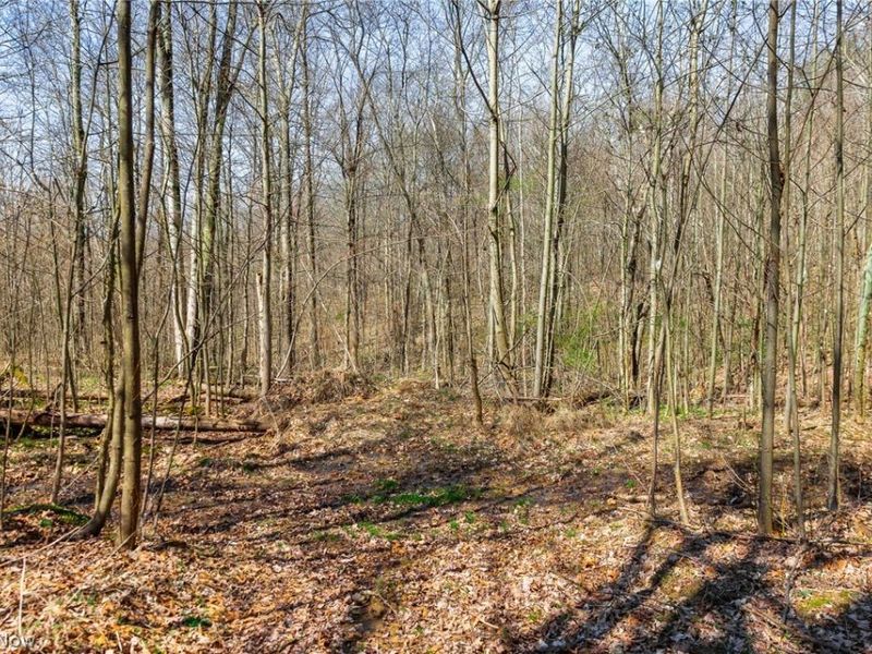 East Branch Road, Lowell, OH 45744 Photo 3