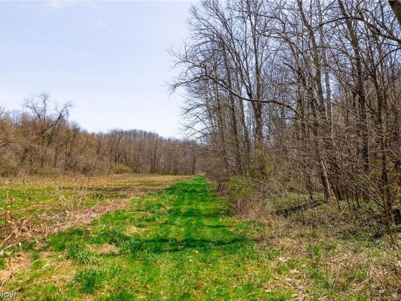 East Branch Road, Lowell, OH 45744 Photo 30