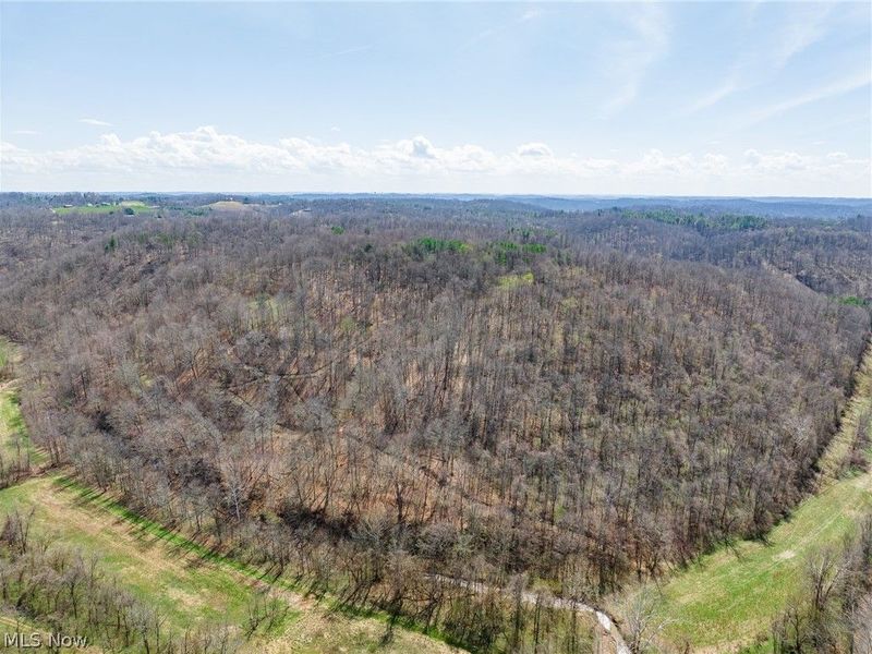 East Branch Road, Lowell, OH 45744 Photo 31