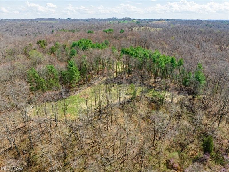 East Branch Road, Lowell, OH 45744 Photo 32