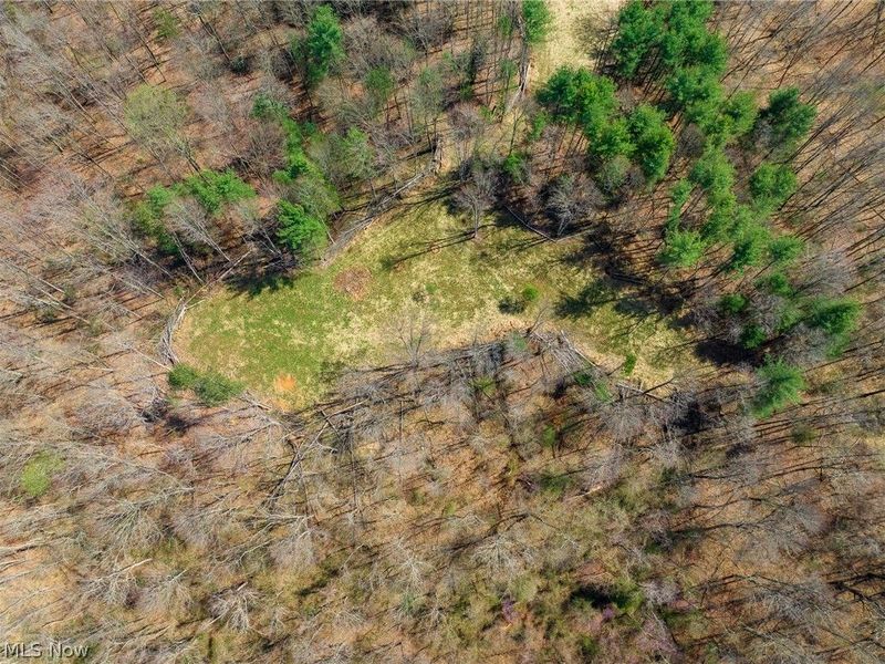 East Branch Road, Lowell, OH 45744 Photo 33