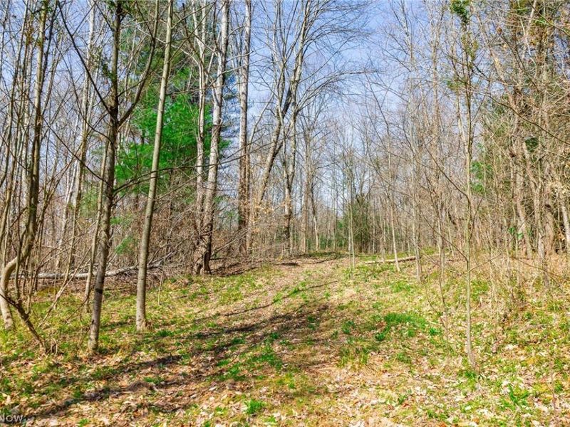 East Branch Road, Lowell, OH 45744 Photo 4