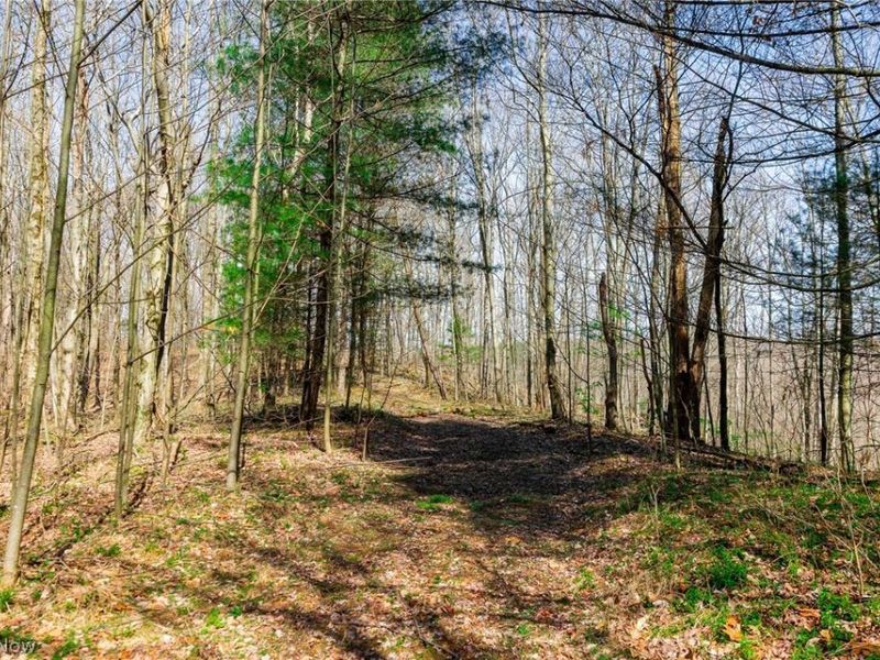 East Branch Road, Lowell, OH 45744 Photo 5