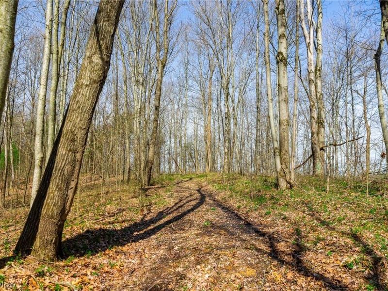 East Branch Road, Lowell, OH 45744 Photo 6