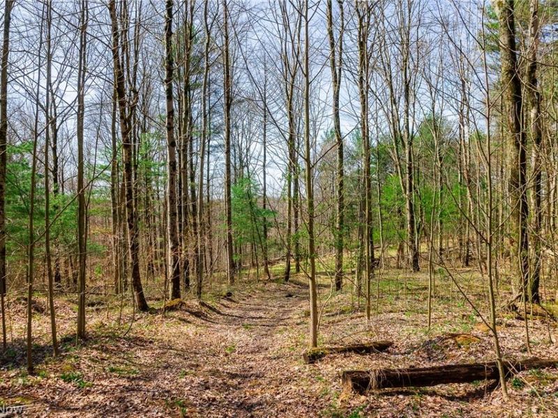 East Branch Road, Lowell, OH 45744 Photo 7