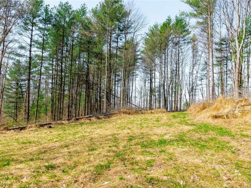 East Branch Road, Lowell, OH 45744 Photo 8