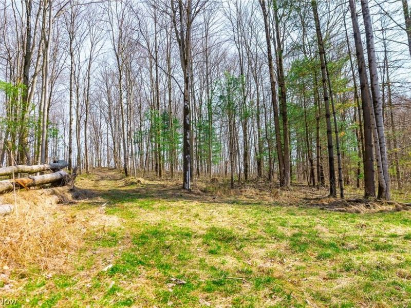 East Branch Road, Lowell, OH 45744 Photo 9